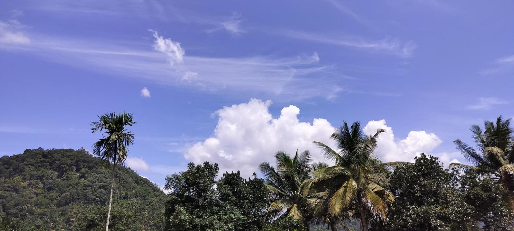Himadri Munnar Holidays Exterior foto