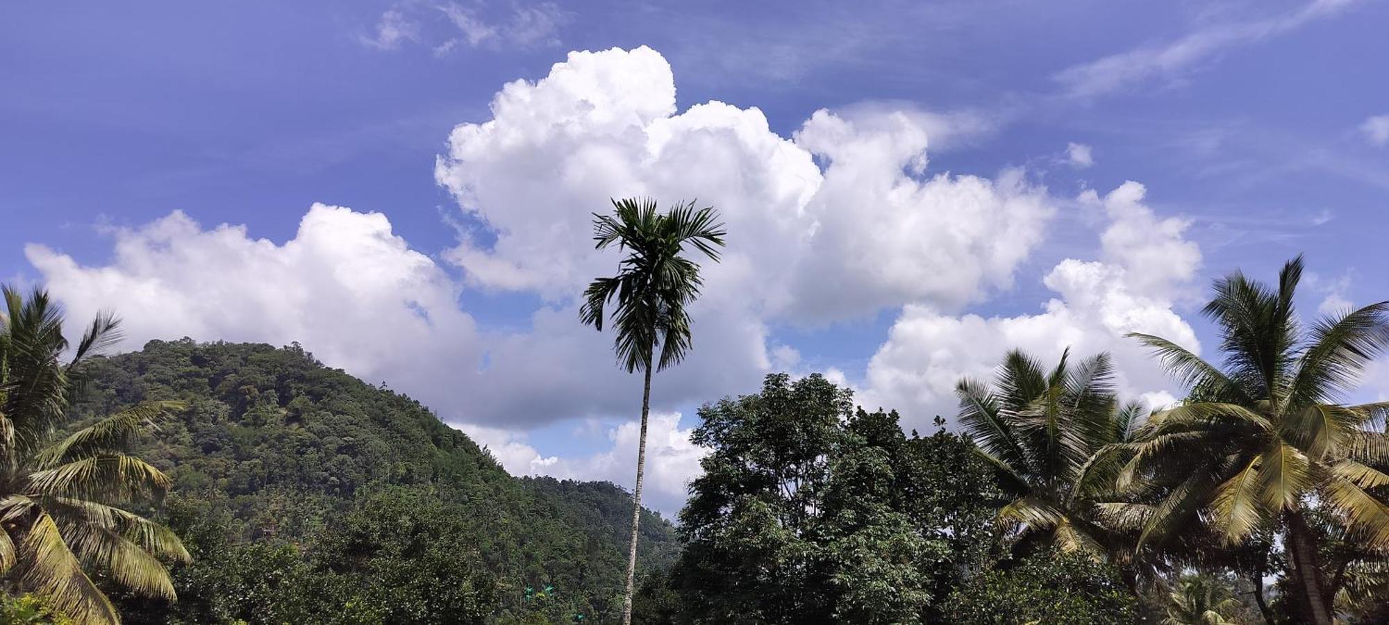 Himadri Munnar Holidays Exterior foto